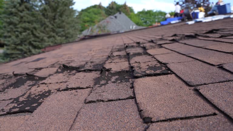 Best Wood Shake Roofing  in Orfordville, WI